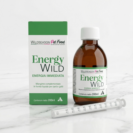 Wildseason - ENERGY WILD