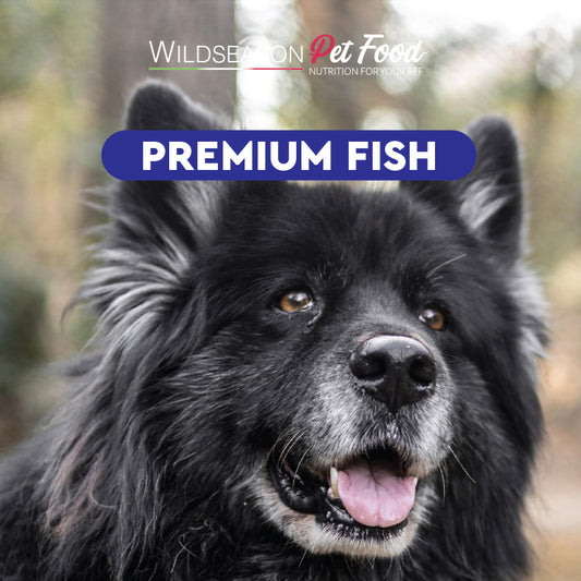 Wildseason Premium Fish - mangime per cani adulti