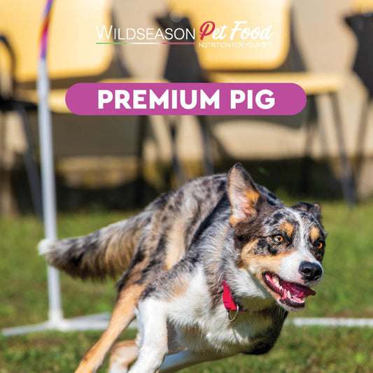 Wildseason Premium Pig - Monoproteico al maiale - Mangime per cani adulti