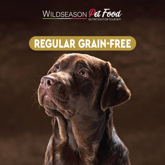 Wildseason Regular Grain Free - Mangime per cani adulti .