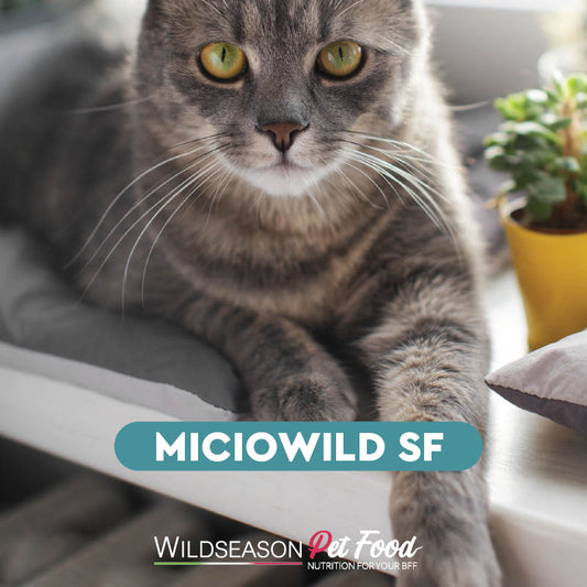 MICIOWILD STERILISED FISH - Alimento completo per gatti sterilizzati monoproteico al pesce.