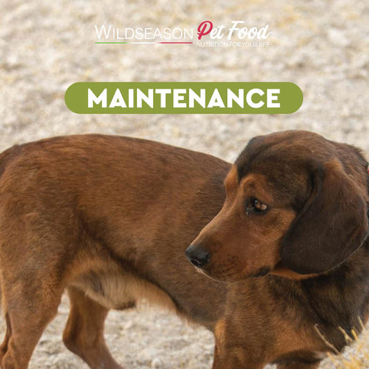 Wildseason Maintenance Plus - Mangime per cani 20 Kg