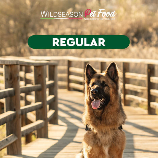 Wildseason Regular - Mangime per cani adulti