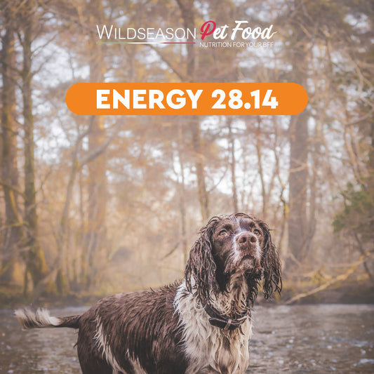Wildseason Energy 28.14 - Mangime per cani adulti 20 Kg