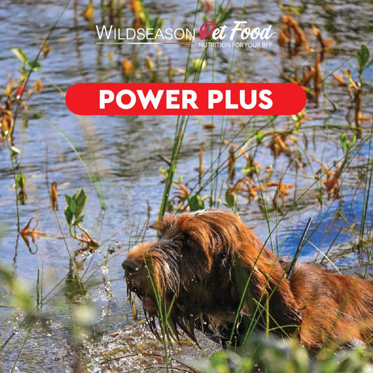 Wildseason Power Plus - Mangime per cani adulti 20 Kg