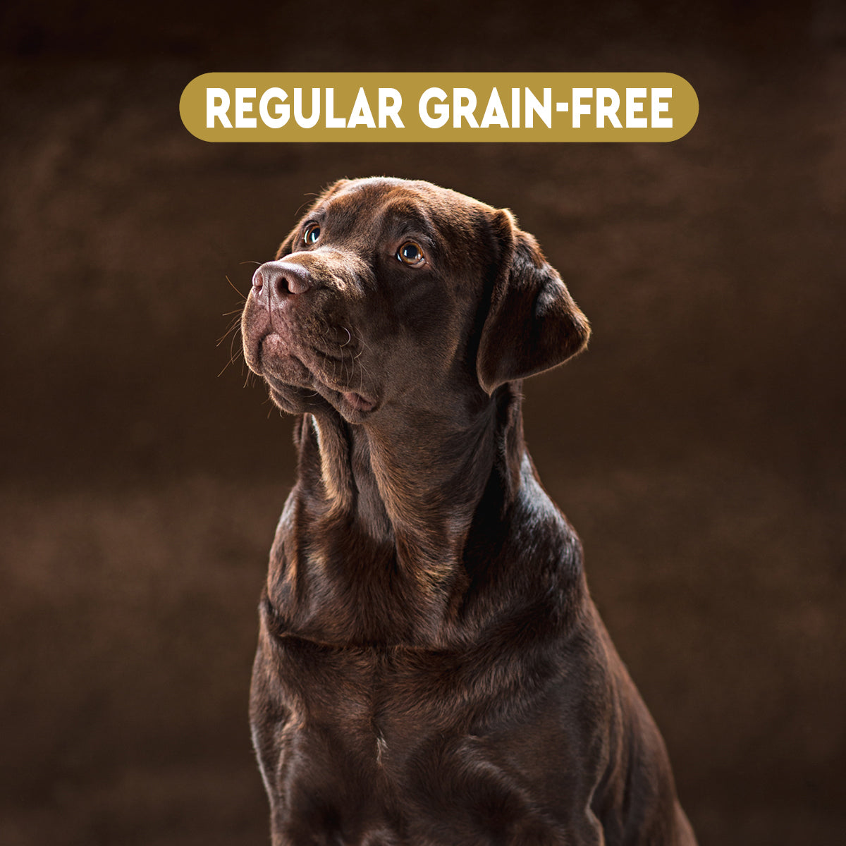 Wildseason Regular Grain Free - Mangime per cani adulti 20 Kg