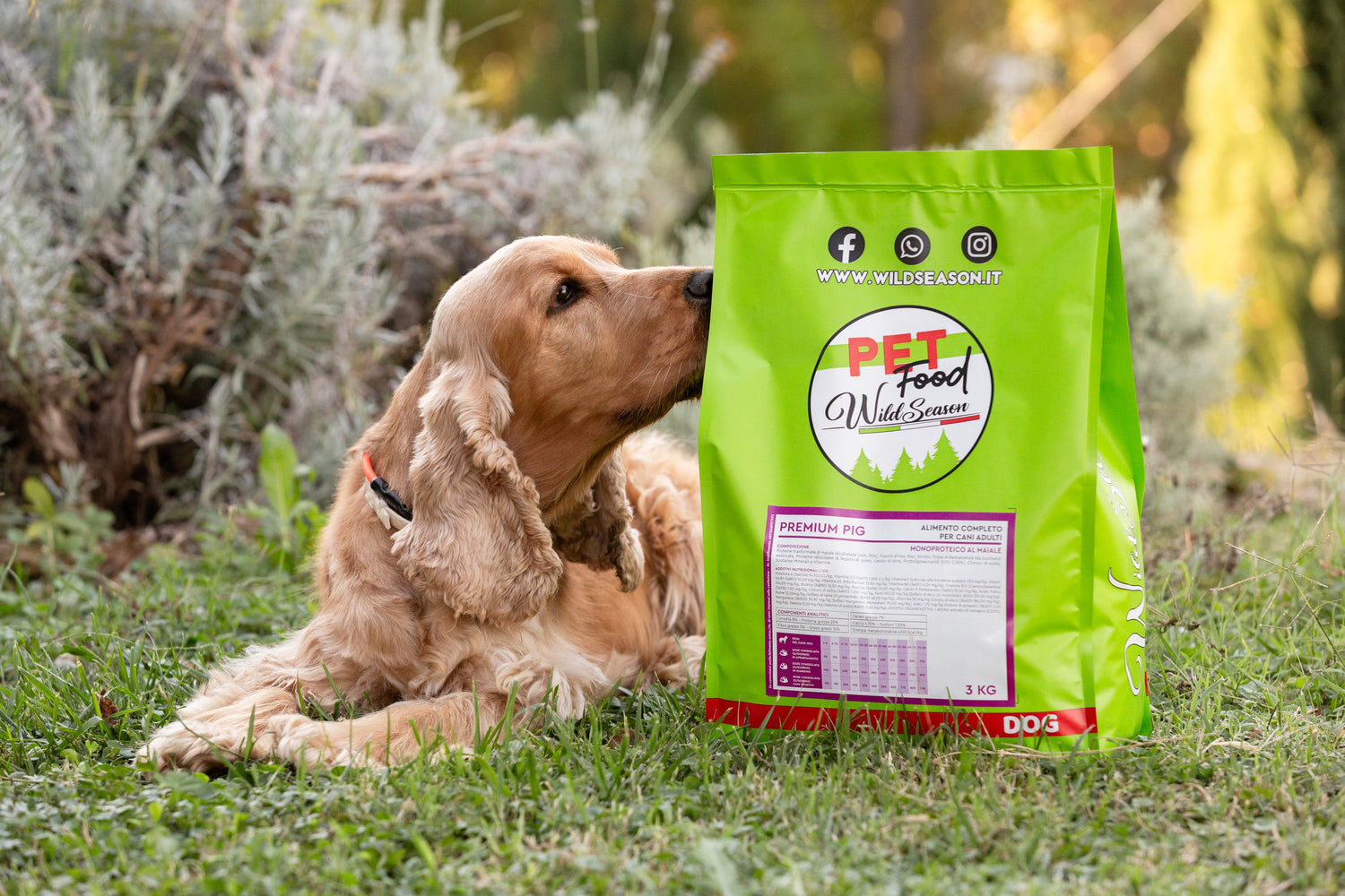 Alimententazione cane