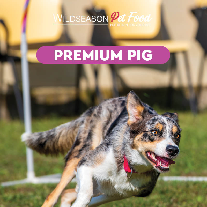 Wildseason Premium Pig - Monoproteico al maiale   - Mangime per cani adulti