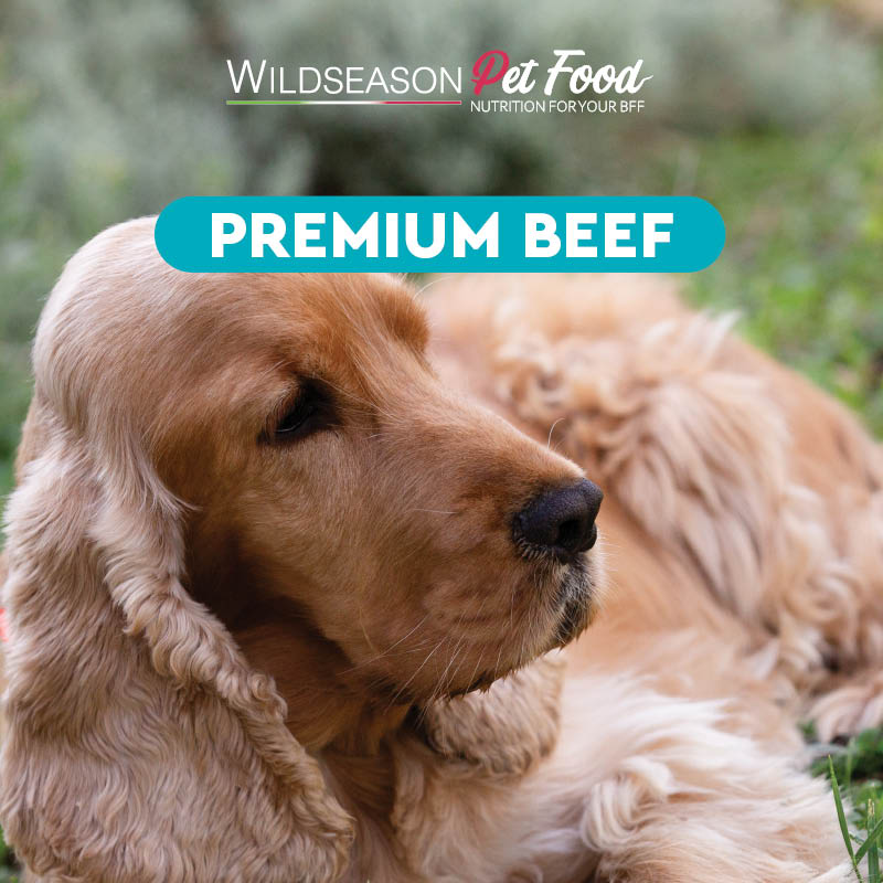 Wildseason Premium Beef  - Monoproteico al manzo   - Mangime per cani adulti
