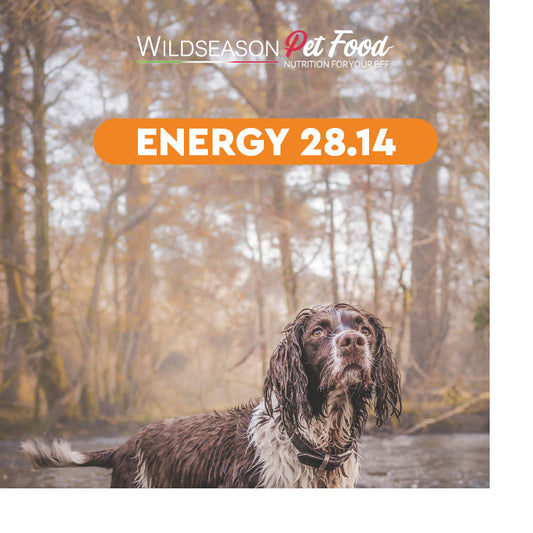 Wildseason Energy 28.14 - Mangime per cani adulti  20 Kg