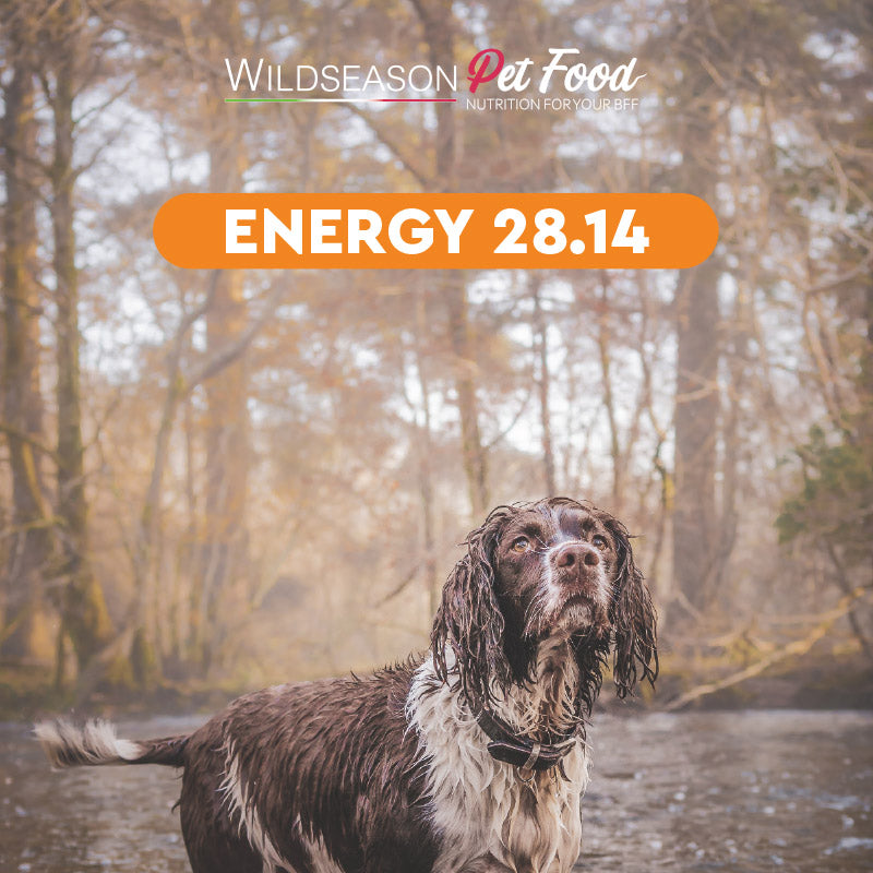 Wildseason Energy 28.14 - Mangime per cani adulti  20 Kg
